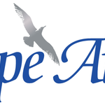 Cape Air logo